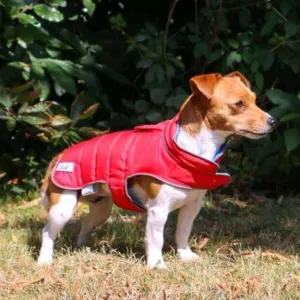 Ancol Viva Reversible Dog Coat