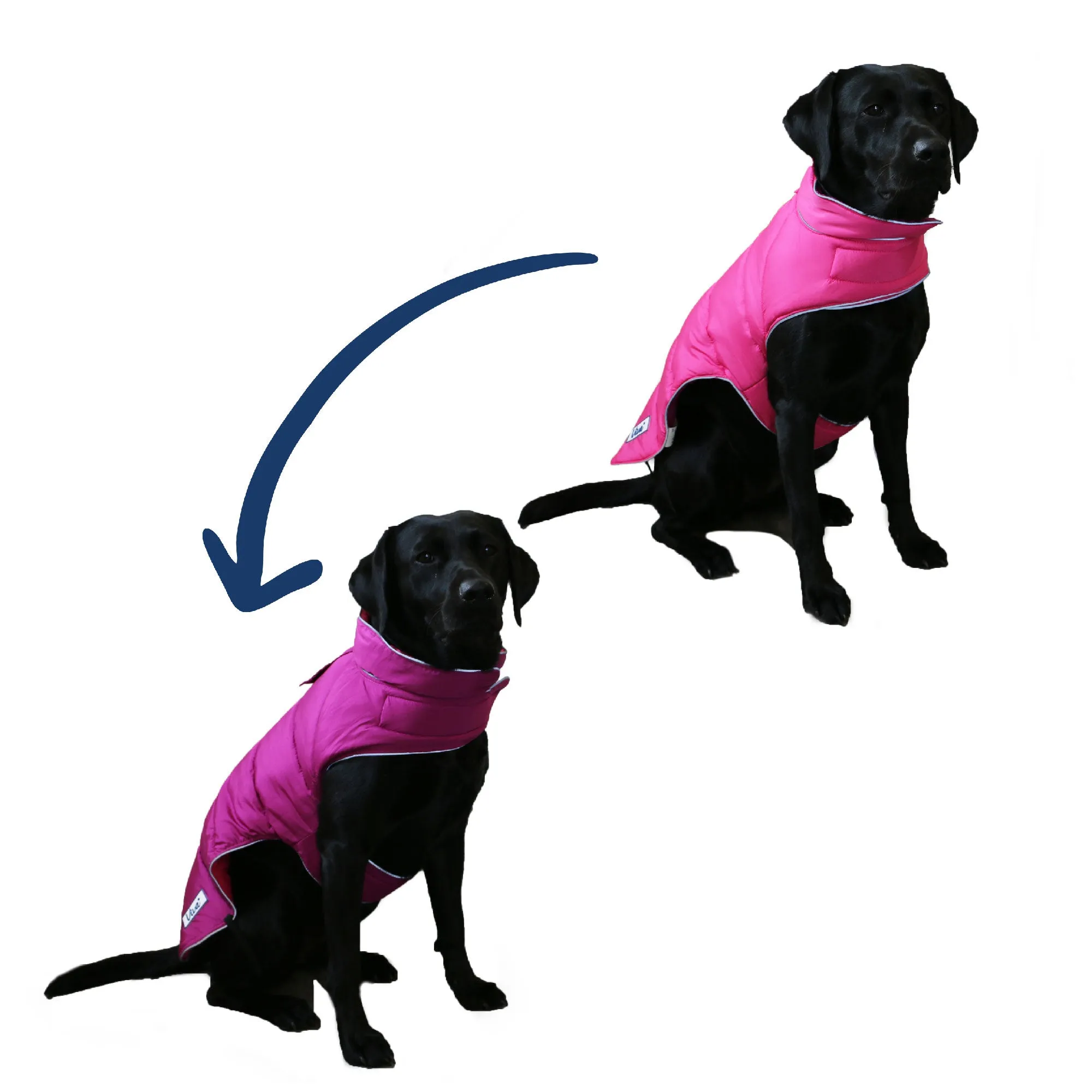 Ancol Viva Reversible Dog Coat