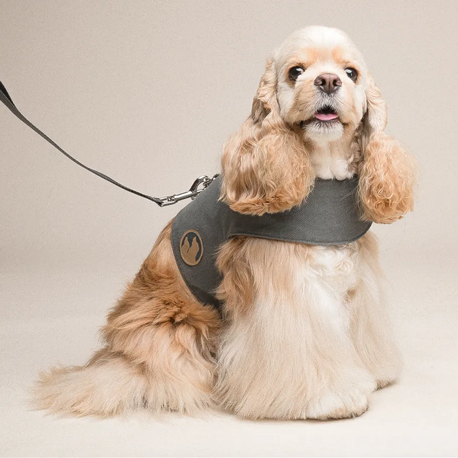 Classic Retro Plaid Vest Harness for Dogs