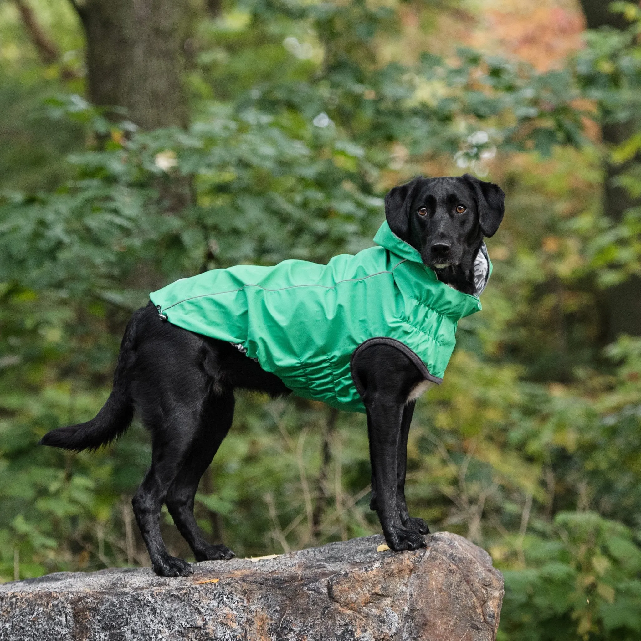 GF Pet Reversible Raincoat