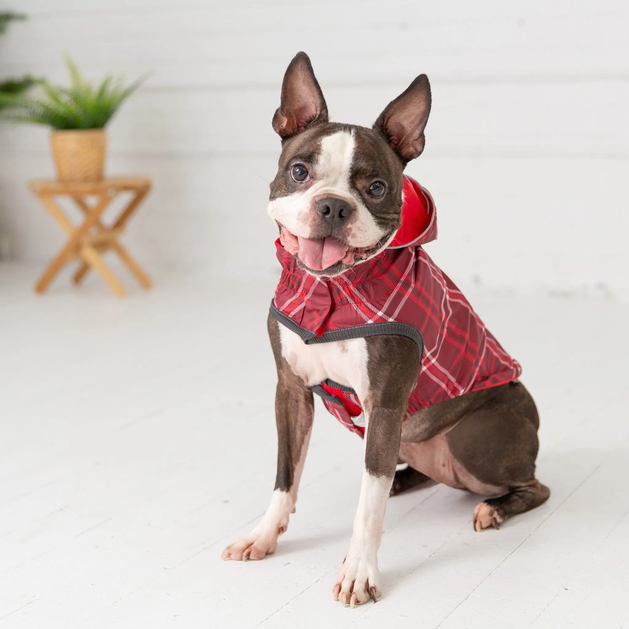 GF Pet Reversible Raincoat