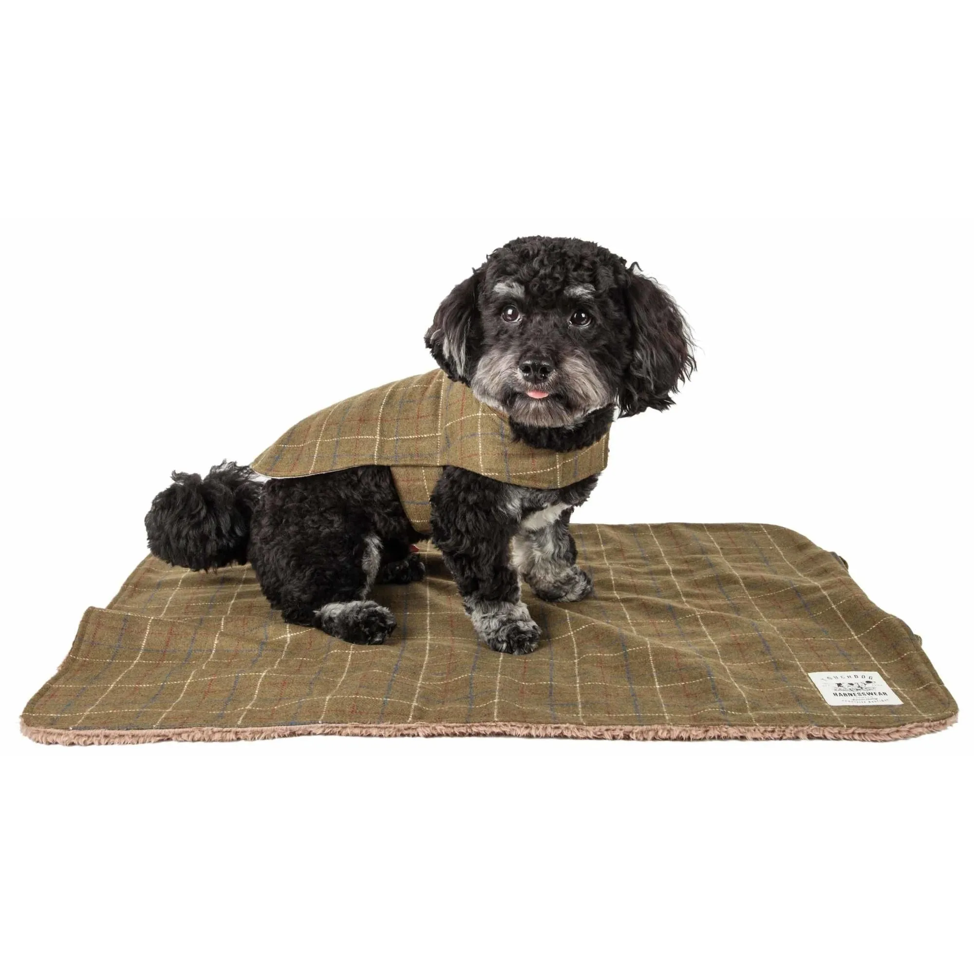 Plaid reversible dog jacket with mat